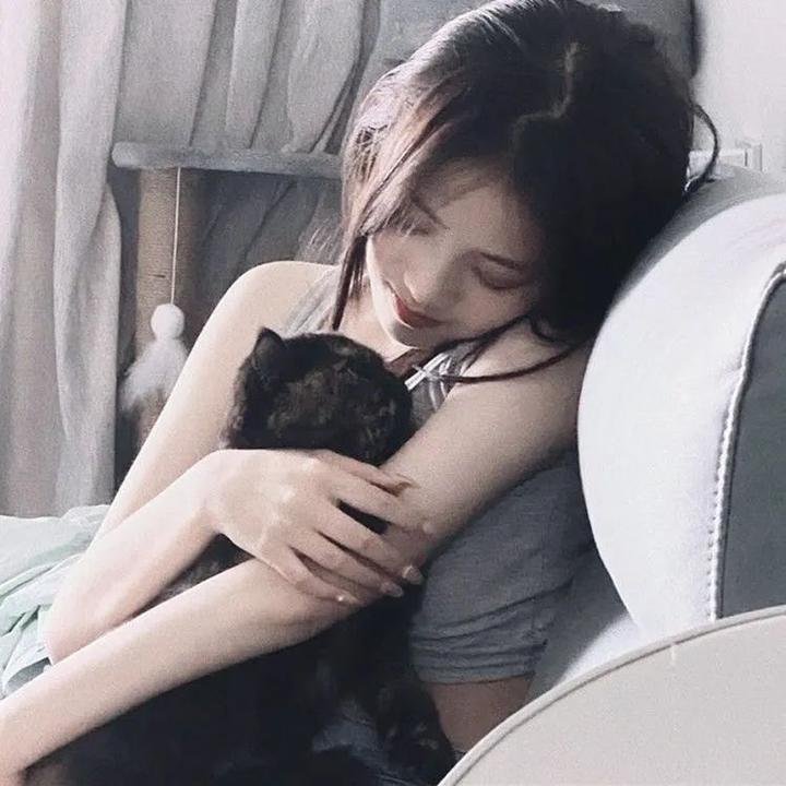 彩色响尾蛇