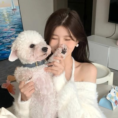 小鹬初登场